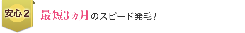 最短3ヵ月のスピード発毛！