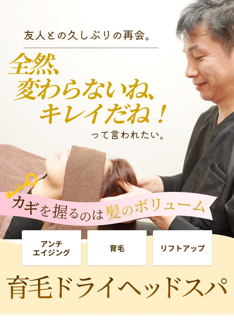 友人との久しぶりの再会。
全然
変わらないね、キレイだね！
って言われたい。
カギを握るのは髪のボリューム
アンチ
エイジング
育毛
リフトアップ
育毛ドライヘッドスパ