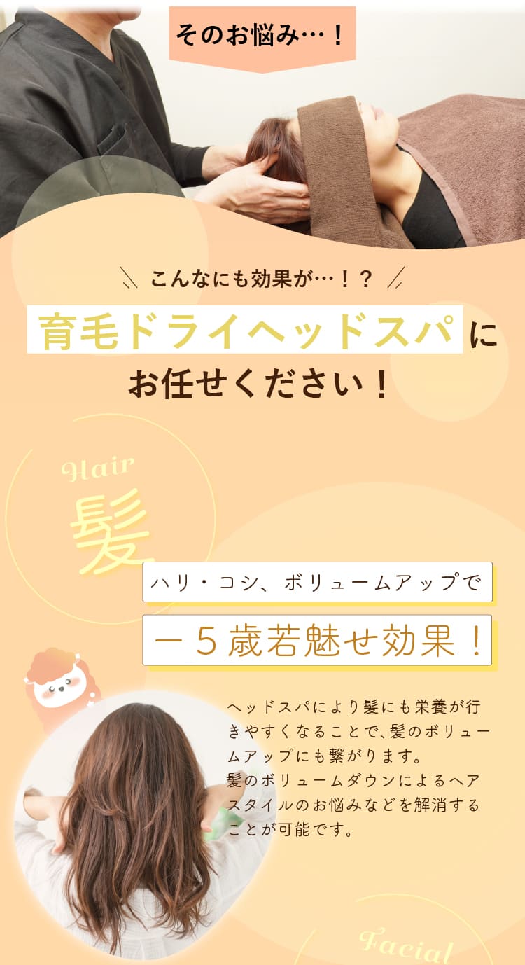こんなにも効果が・・・！？
育毛ドライヘッドスパにお任せください！
glair
ハリ・コシ、ボリュームアップで
-5歳若魅せ効果！
ヘッドスパにより髪にも栄養が行きやすくなることで、髪のボリュームアップにも繋がります。
髪のボリュームダウンによるヘアスタイルのお悩みなどを解消することが可能です。
