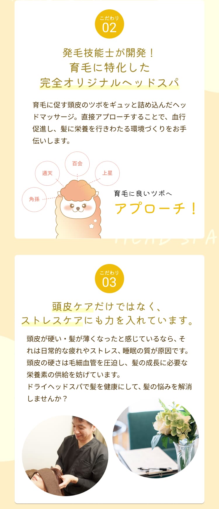 発毛技能士が開発！
育毛に特化した
完全オリジナルヘッドスパ
育毛に促す頭皮のツボをギュッと詰め込んだヘッドマッサージ。直接アプローチすることで、血行促進し、髪に栄養を行きわたる環境づくりをお手伝いします。
百会
通天
上星
角孫
育毛に良いツボへ
アプローチ！
こたわり
03
頭皮ケアだけではなく、ストレスケアにも力を入れています。
頭皮が硬い・髪が薄くなったと感じているなら、それは日常的な疲れやストレス、睡眠の質が原因です。
頭皮の硬さは毛細血管を圧迫し、髪の成長に必要な栄養素の供給を妨げています。
ドライヘッドスパで髪を健康にして、髪の悩みを解消しませんか？