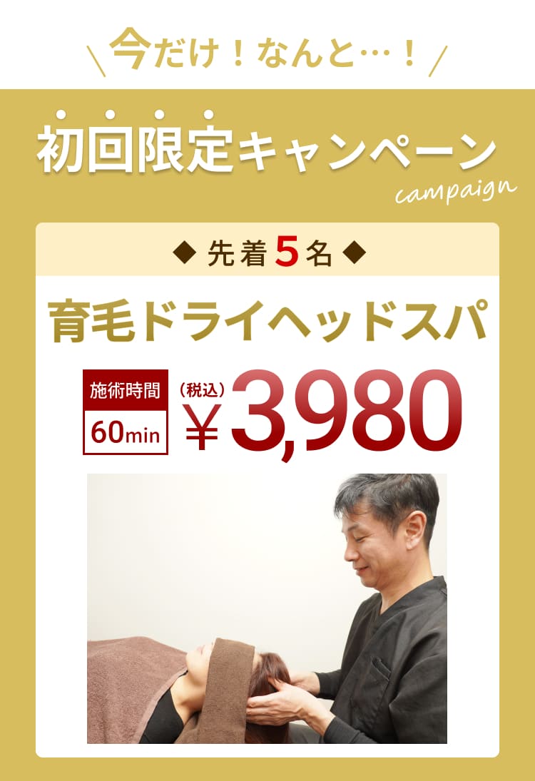 今だけ！なんと…・・！/初回限定キャンペーン
campaign
◆ 先着5名
育毛ドライヘッドスパ
施術時間
60 min
（税込）
￥3,980